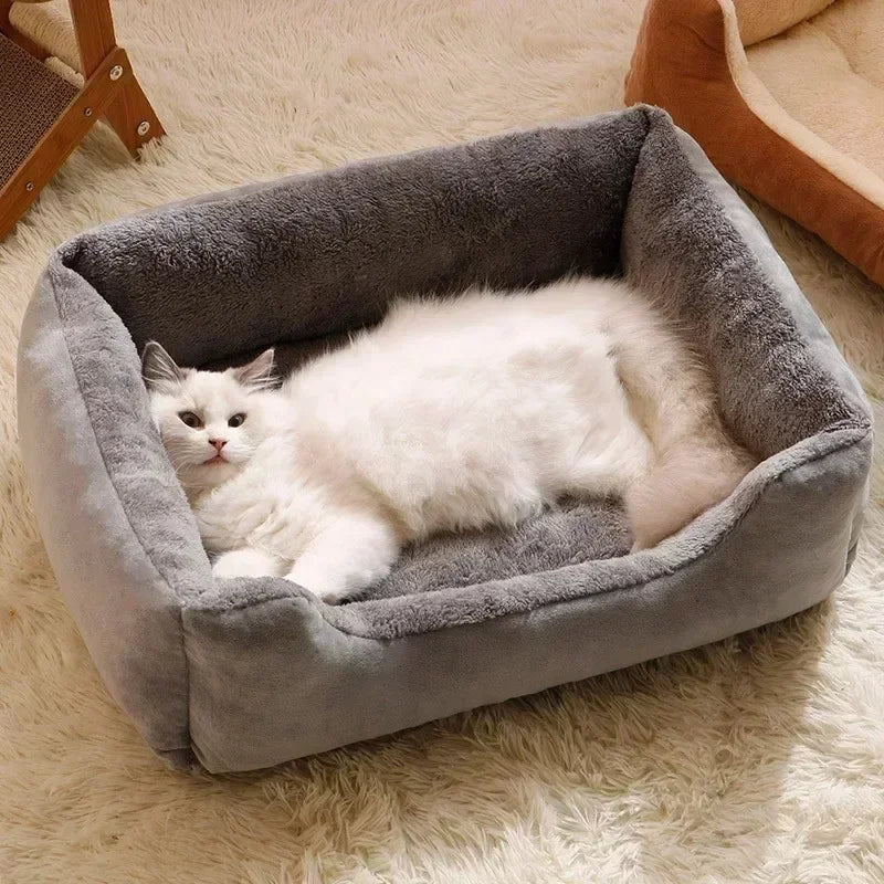 Pet Beds/Blankets