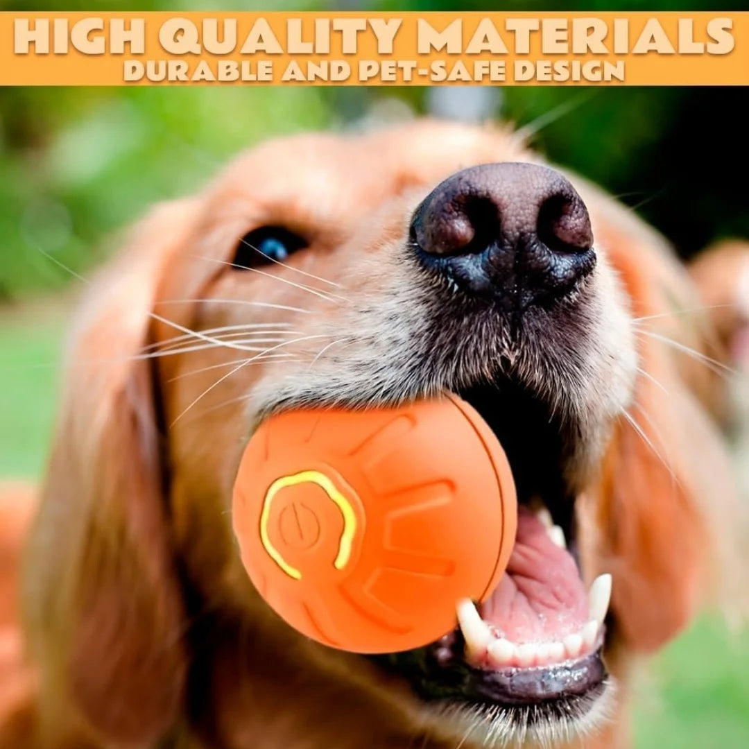 Pets Toys