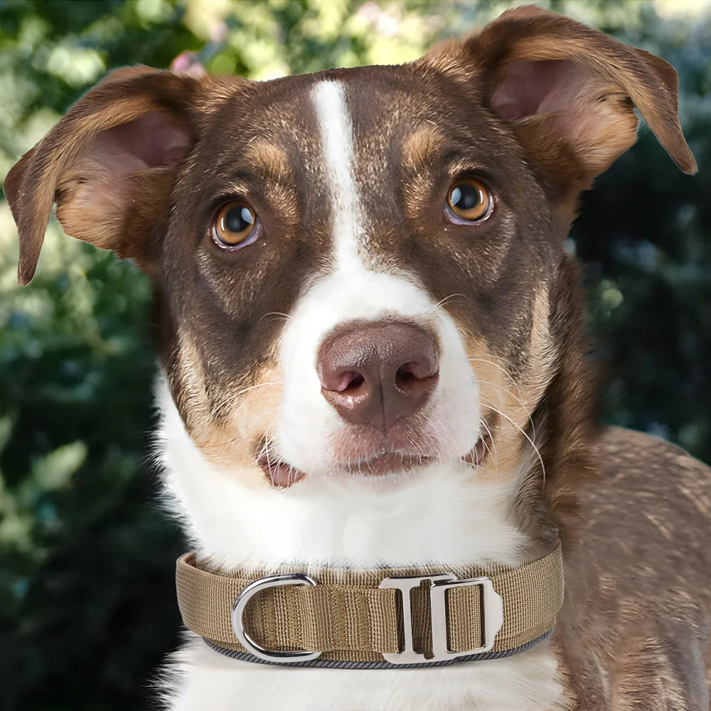 New Reflective Outdoor Pet Dog Tactical Collar for Large Dogs Collar Training Dog Accessories