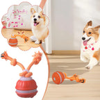 Pet Ball Interactive Toys for Dogs Motion Activate Rolling Ball for Puppy/Small Dogs Automatic Moving Toy USB Rechargeable Toy