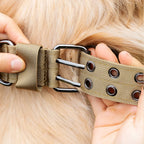 Outdoor Adjustable Military Dog Collar Traction Rope Metal D-Ring and Buckle Working Dog Collar Five-Level for Medium and Large