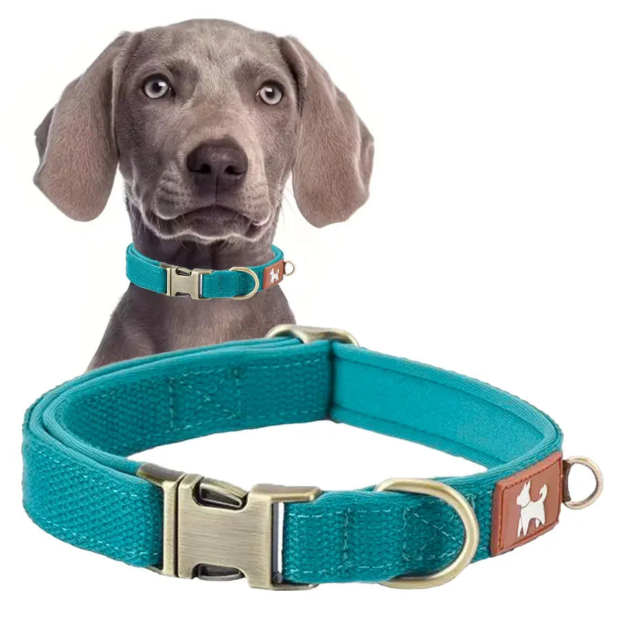 DC001 Dog Collars For Medium Dogs, Classic Heavy Duty Dog Collars With Quick Release Metal Buckle, Adjustable Medium Dog Collar