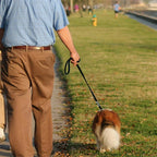 2.5M Outdoor Dog Leashes Dog Chain Control Dog Lead Leash Adjustable Training Double Ended Police Style Safety Pet Dogs Walking