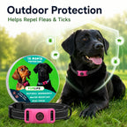 Dog Flea and Tick Collar Kit, Waterproof Adjustable Pet Protection Collar with Flea Pendant, Natural Outdoor Repellent for Small