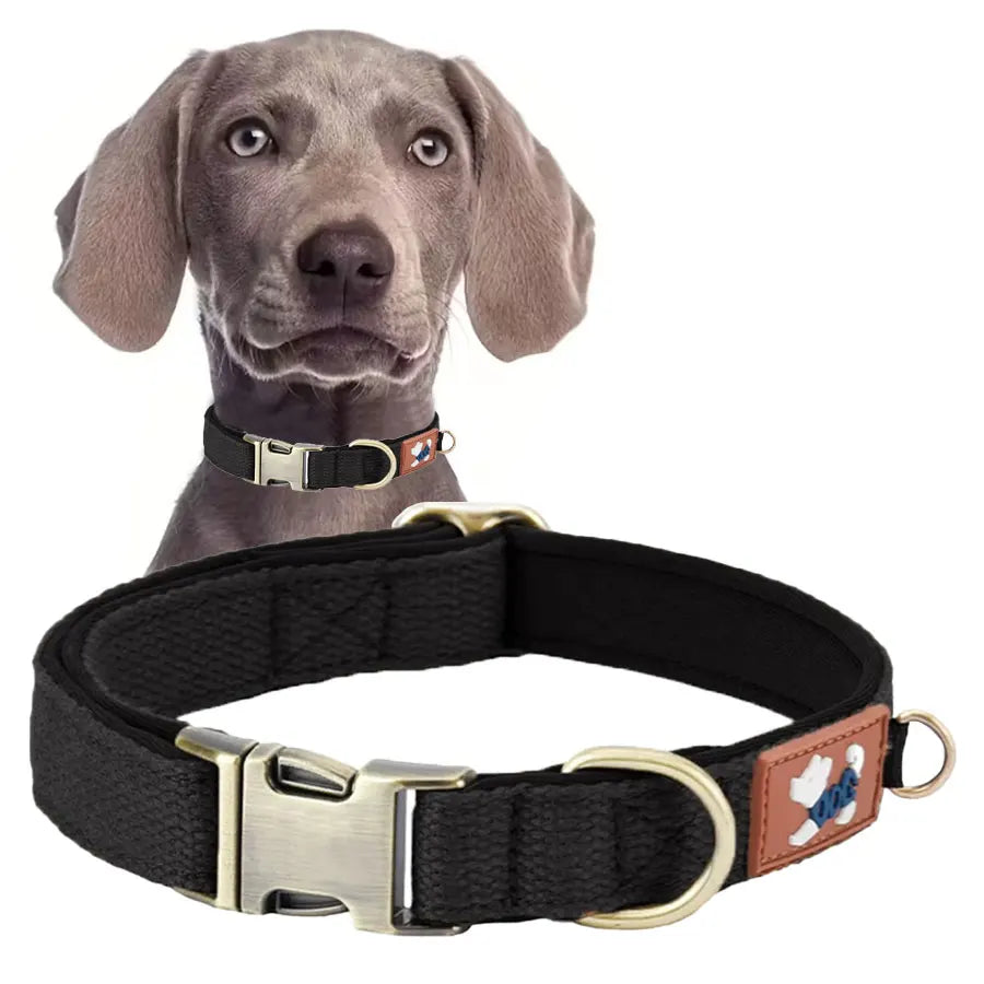DC001 Dog Collars For Medium Dogs, Classic Heavy Duty Dog Collars With Quick Release Metal Buckle, Adjustable Medium Dog Collar