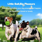 Pet Dog Toys Toy Funny Interactive Elasticity Soft Ball Dog Chew Toy For Dog Tooth Clean Ball Food Extra-tough Rubber Ball Dogs