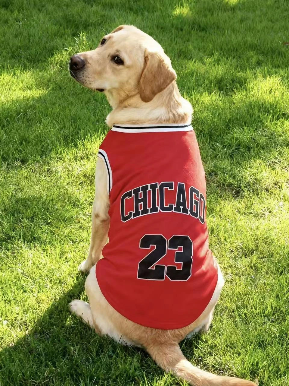 Summer Lightweight Breathable Dog Sports Tank Top Style 23 for Medium Large Breeds,Doberman Golden Retriever German Shepherd