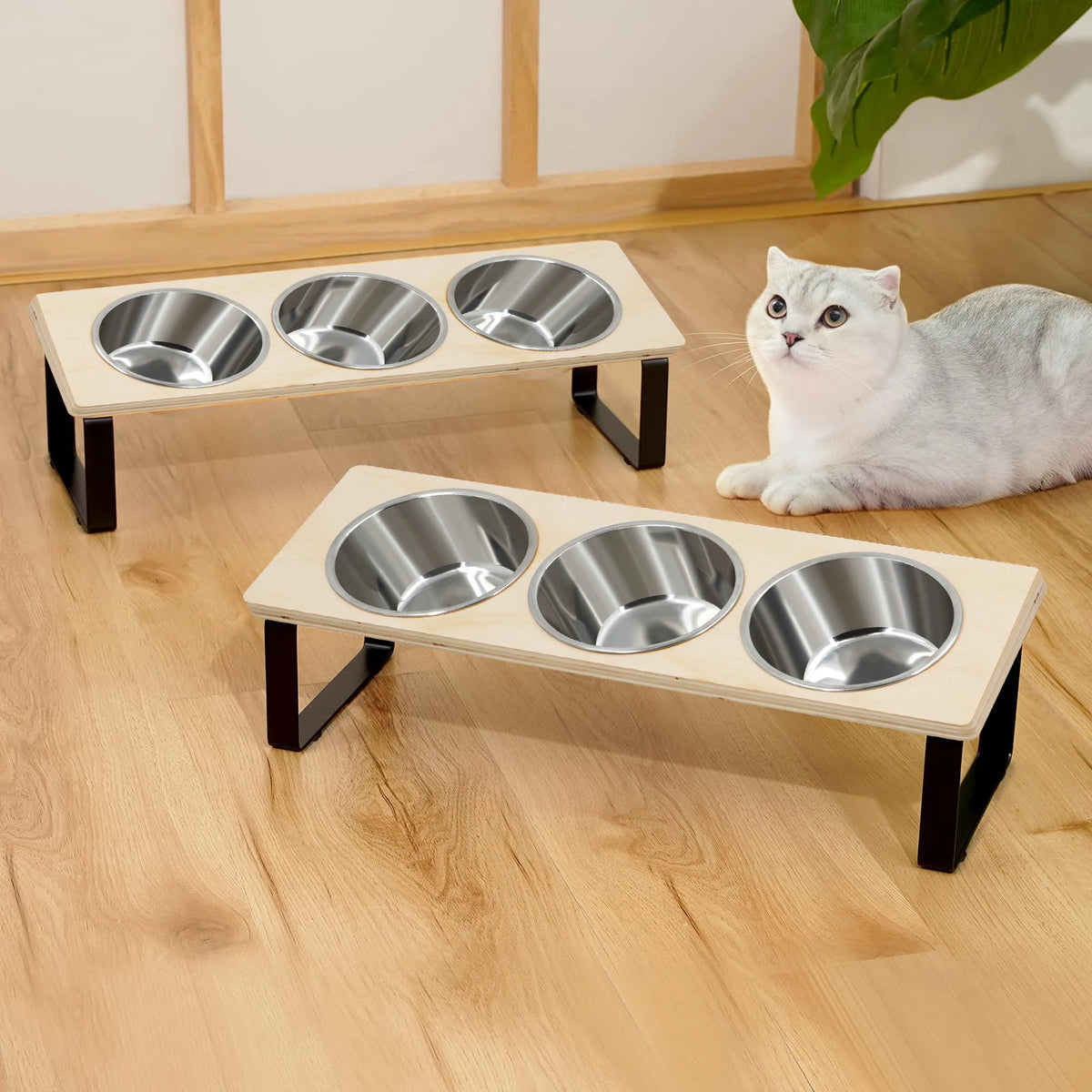 Elevated Cat Bowls Feeder 15° Tilted Raised Feeding & Watering Supplies Pet 3 Stainless Steel Bowls with Stand for Cats Puppies