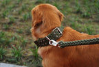 Durable Nylon Dog Collars for Large Dogs Heavy Duty Military Thick Wide Tactical Pet Collar with 2 Rows Metal Buckle