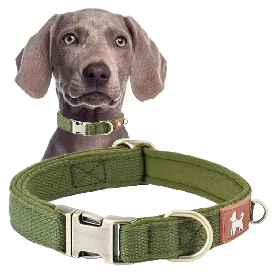 DC001 Dog Collars For Medium Dogs, Classic Heavy Duty Dog Collars With Quick Release Metal Buckle, Adjustable Medium Dog Collar