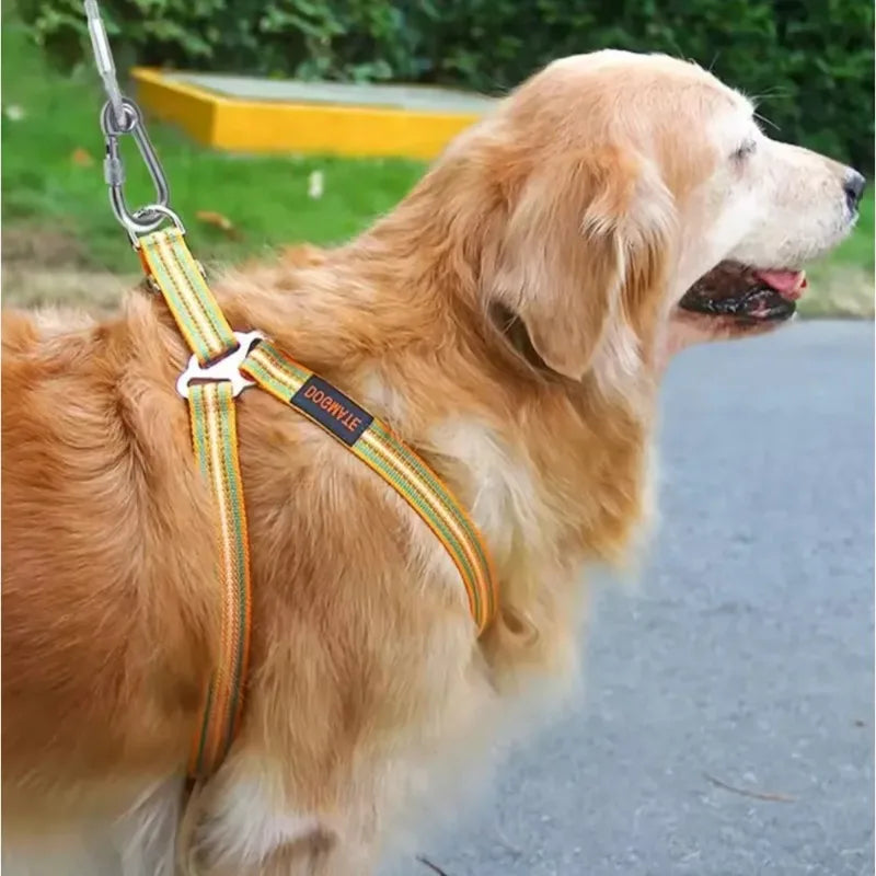 Double-Headed Dog Tie out Cable Leash with Metal Buckle Anti-Rust Steel Wire Outdoor Training Collar Durable Traction Rope Strap