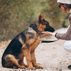 Dog Collar Durable Adjustable Military Pet Collar Tactical Leash Set Nylon Collar Medium Large Dog Shepherd Training Accessories