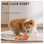 Pet Ball for Dogs Interactive Toys Motion Activate Rolling Ball for Puppy/Small Dogs Automatic Moving Toy USB Rechargeable Toy