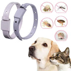 Anti-flea collar For dogs and cats Adjustable antiparasitic collar and tick Dog leash cat collar pet dog accessories