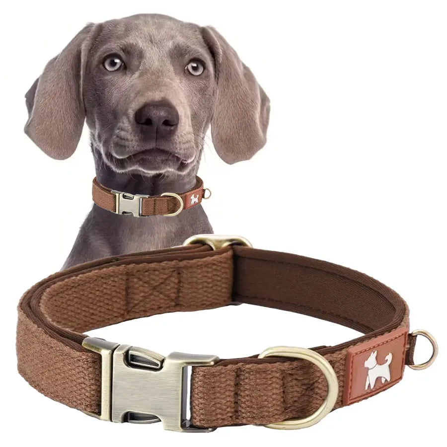DC001 Dog Collars For Medium Dogs, Classic Heavy Duty Dog Collars With Quick Release Metal Buckle, Adjustable Medium Dog Collar