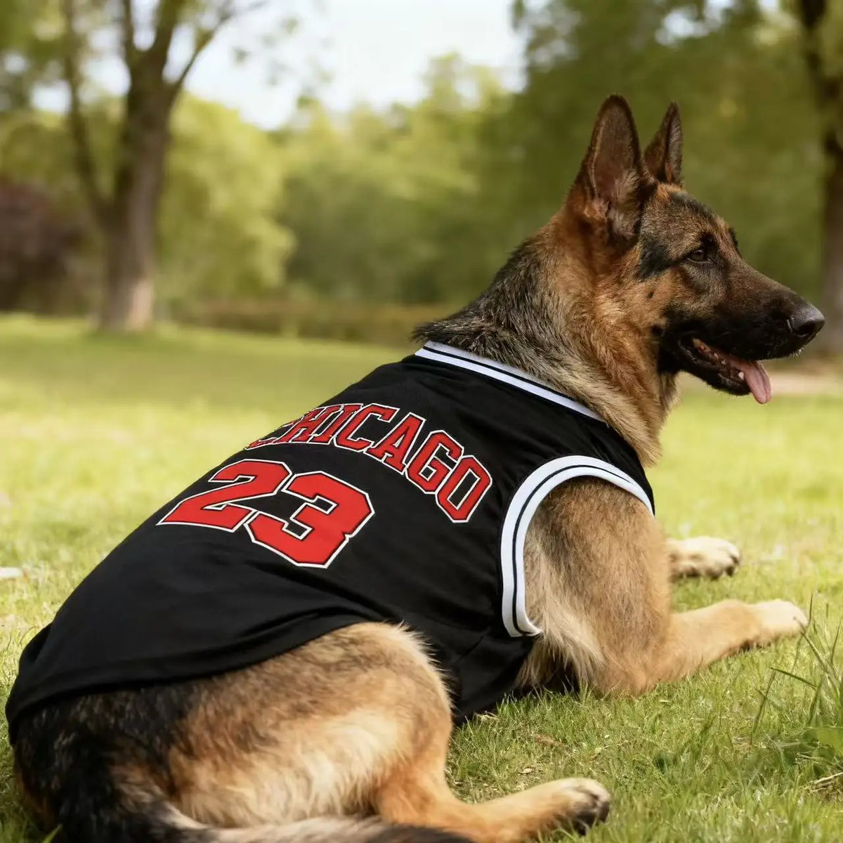 Summer Lightweight Breathable Dog Sports Tank Top Style 23 for Medium Large Breeds,Doberman Golden Retriever German Shepherd
